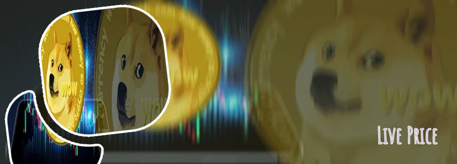 Baby dogecoin price live