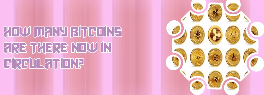 Bitcoin percent all circulating coins study