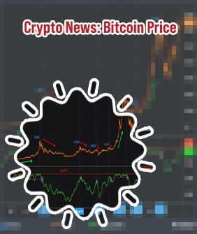 Rally crypto price