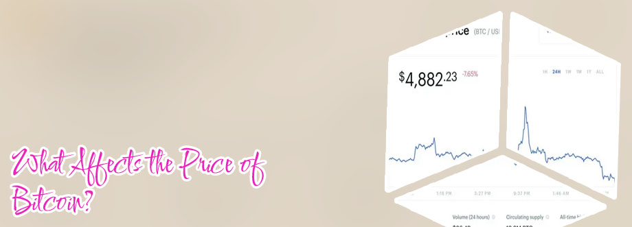 What was the starting price of bitcoin