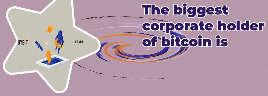 Who owns the most bitcoins